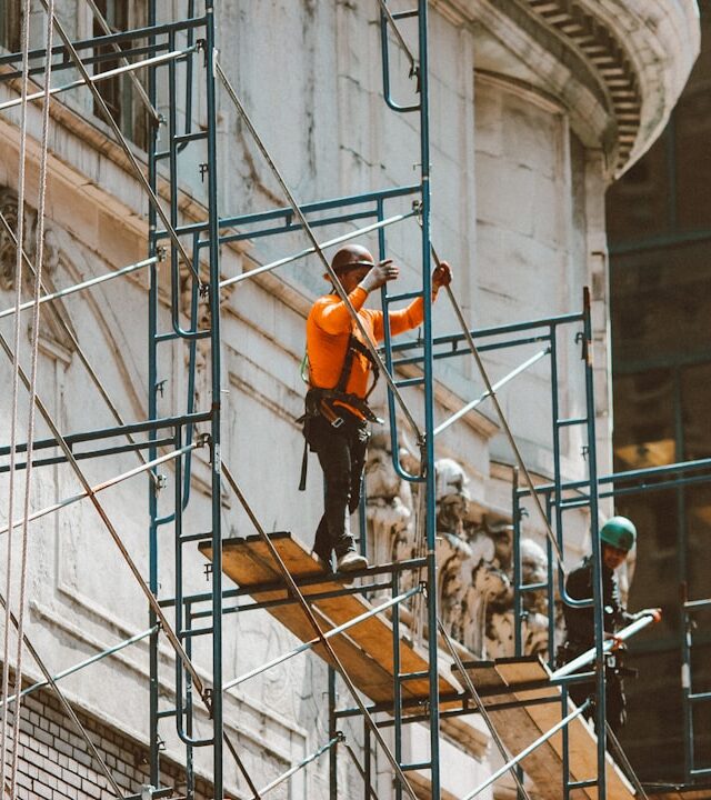 Harness, Scaffold & More